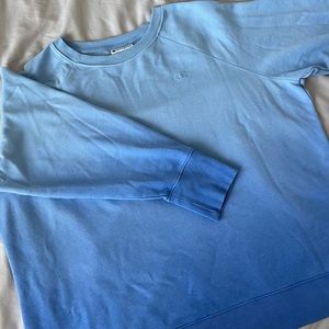 Champion Baby Blue sweatshirt